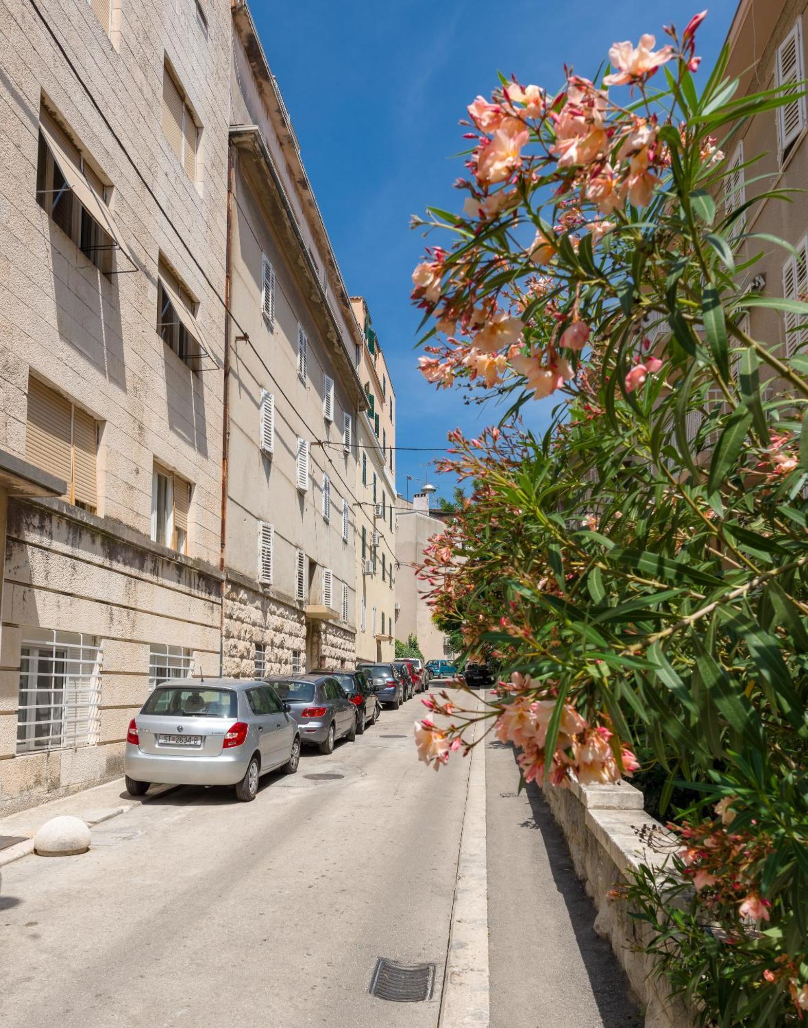 Luxury Rooms And Apartment Silente Bacvice Split Exterior foto